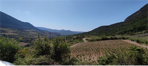 terrain à la vente -   34700  PEGAIROLLES-DE-L-ESCALETTE, surface 2080 m2 vente terrain - APR665987